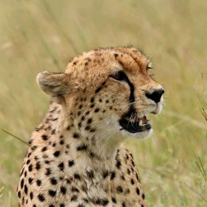 Circuits Kenya Pas Cher